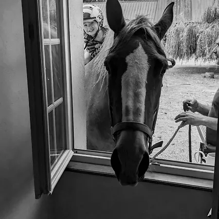 Des Moutons * 圣玛丽-迪蒙