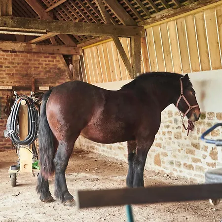 农家乐 Des Moutons 圣玛丽-迪蒙