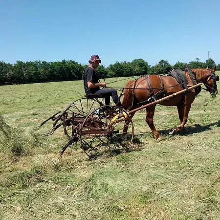 农家乐 Des Moutons *