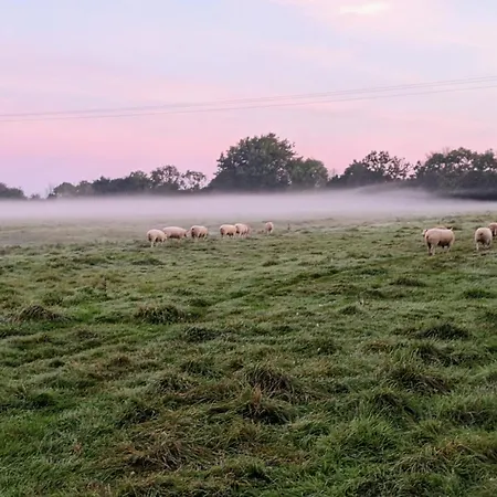 Farm stay Des Moutons Sainte-Marie-du-Mont (Manche)