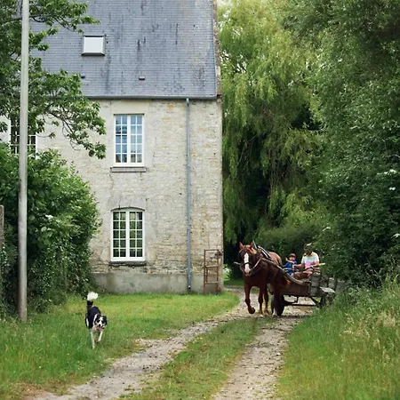 Des Moutons *