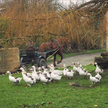 Des Moutons Farm stay