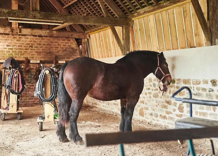 Farm stay Des Moutons Sainte-Marie-du-Mont (Manche)