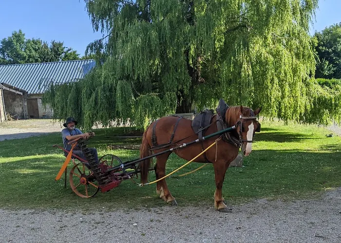 Des Moutons * Sainte-Marie-du-Mont (Manche)