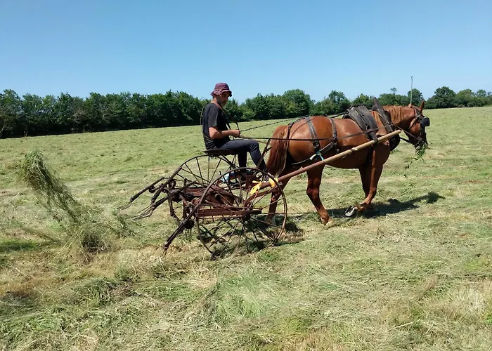 Farm stay Des Moutons *