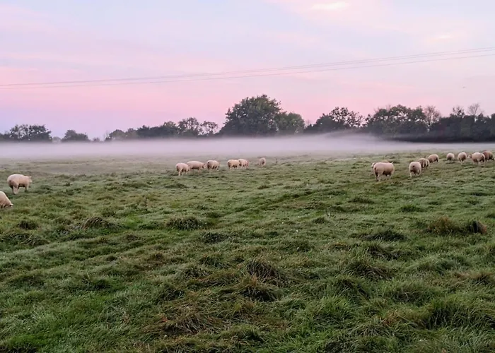 Farm stay Des Moutons Sainte-Marie-du-Mont (Manche)