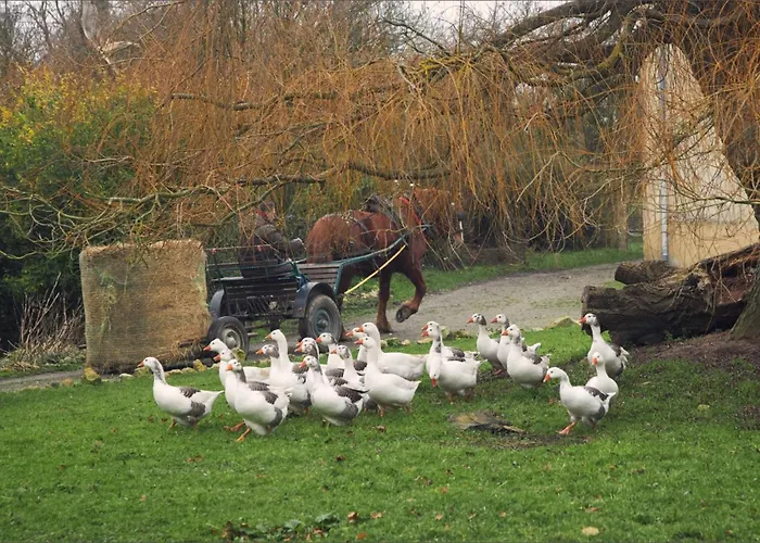 Des Moutons Farm stay