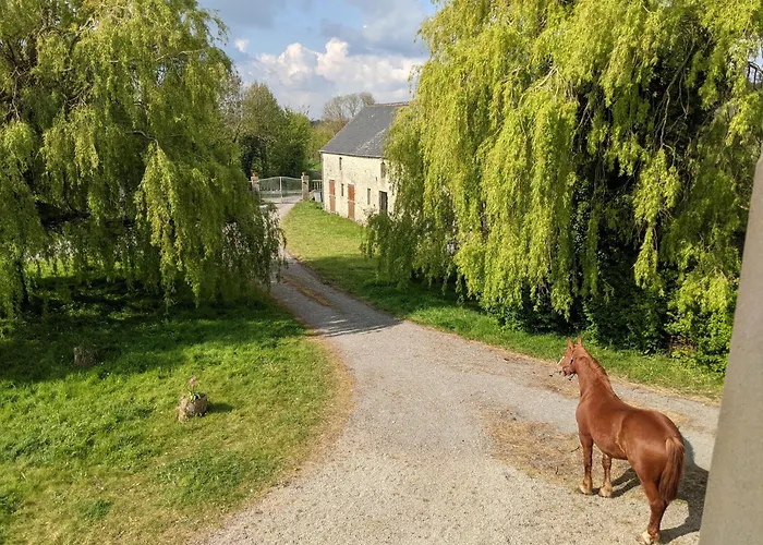 Des Moutons Farm stay